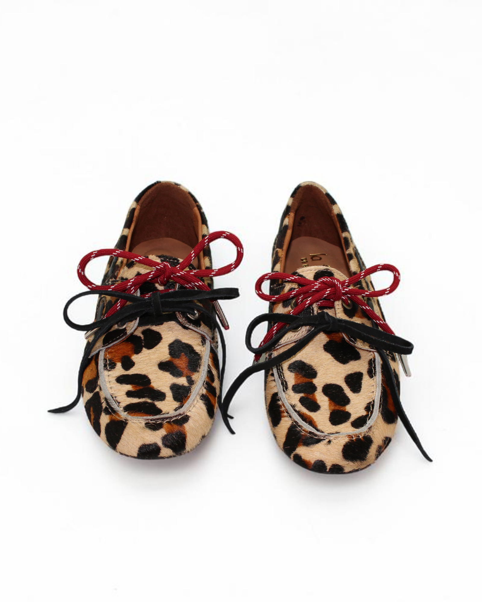 Nautico Animal Print