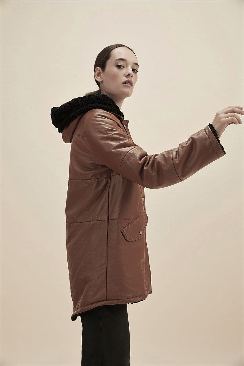 Chaqueta Doma Upsala Habano