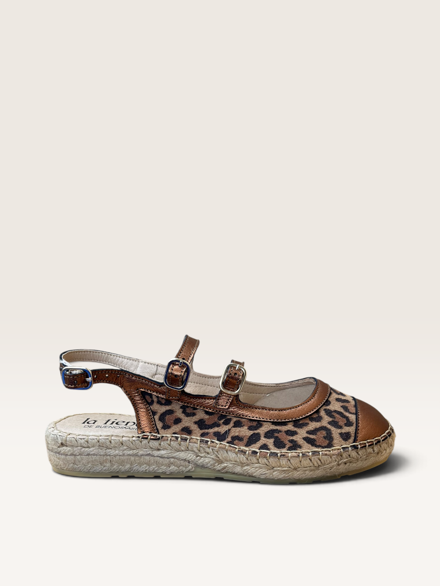 Cassis Leopardo Bronce