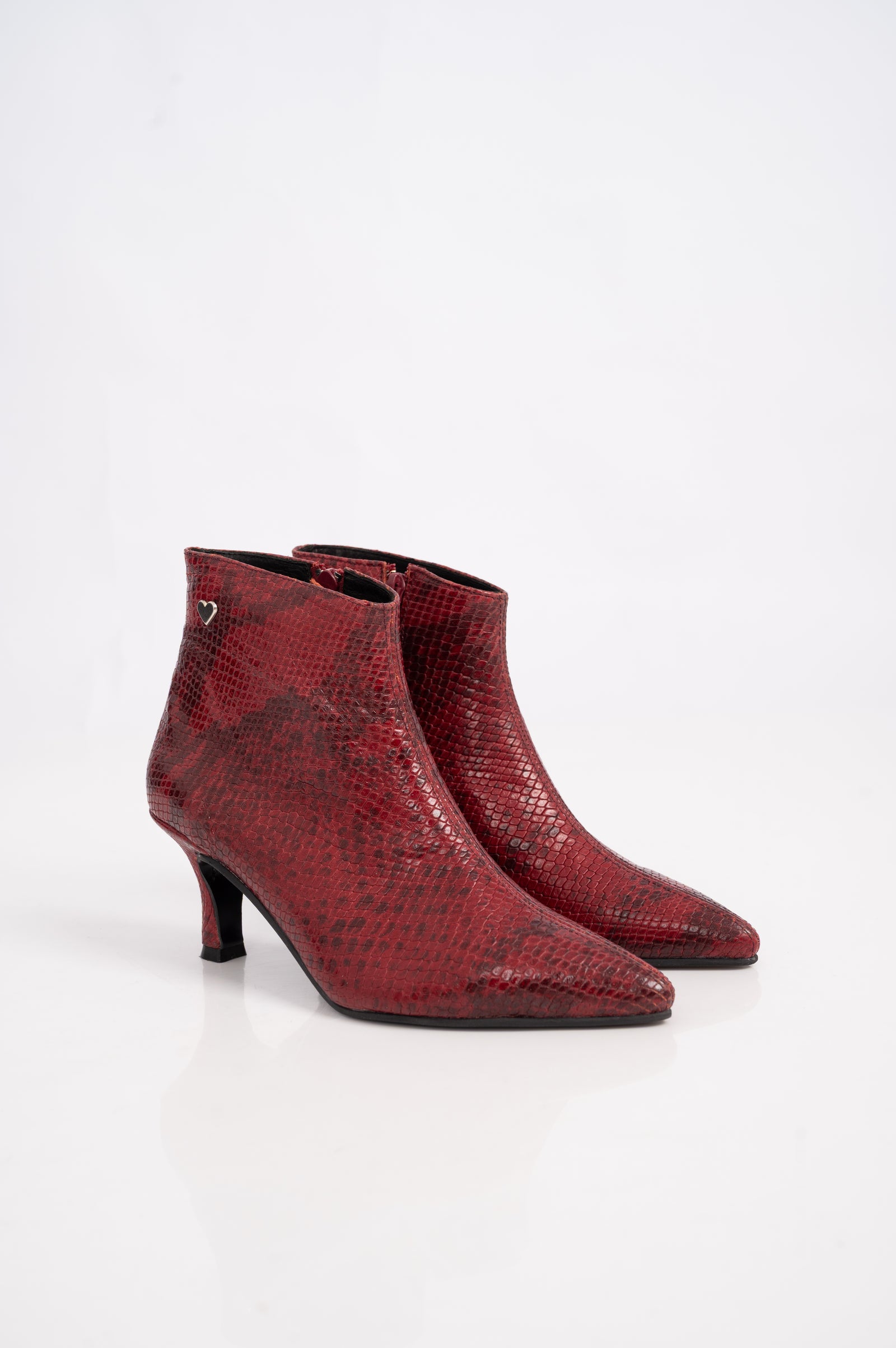 Toledo Reptil Bordo